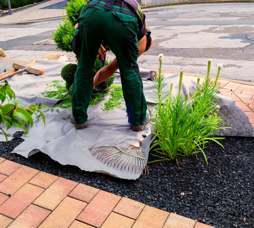 professional landscaping services near me