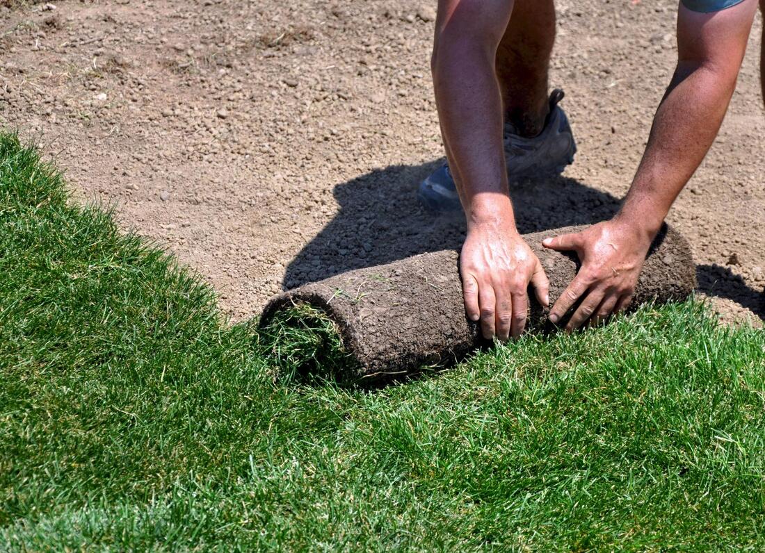 caring for sod services